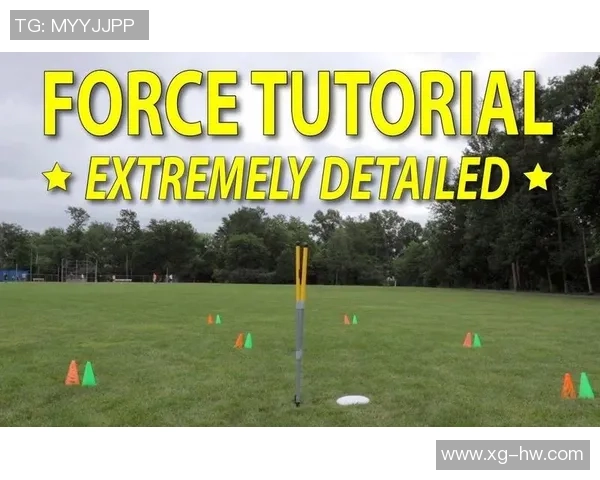 深圳飞盘队反击战术解析与实战应用全景分析